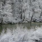 13 frosted trees, feather river