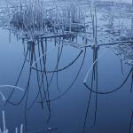2 cattail reflections